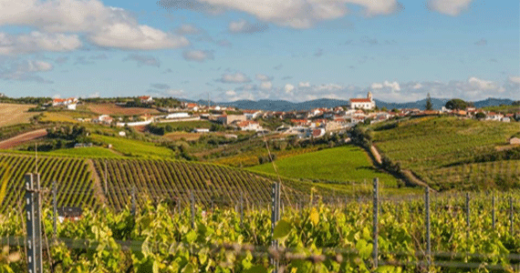 Lisbon wine country