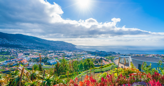 Luxury wine and gastronomy Madeira