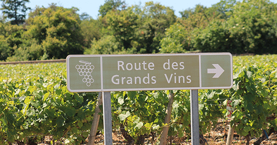 France wine tour