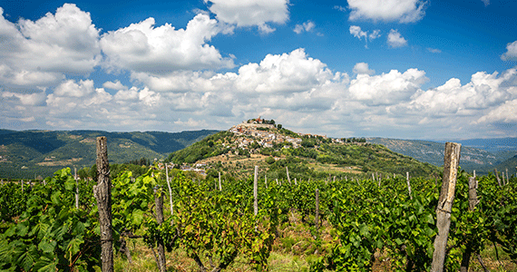 Istria wine tours - Motovun_60557-Credits-JulienDuval---Istria-Tourist-Board