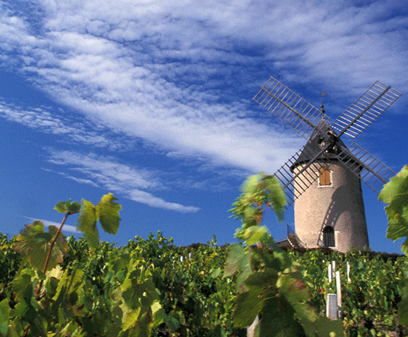 Beaujolais wine tours - Moulin-+á-Vent---Daniel-Gillet-Inter-Beaujolais-copyright