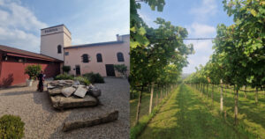 Natalie in Valpolicella wine region, Italy, Verona weekend break