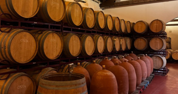 Priorat, Penedes and Barcelona wine tours, cellar visit, credit Spanish Trails