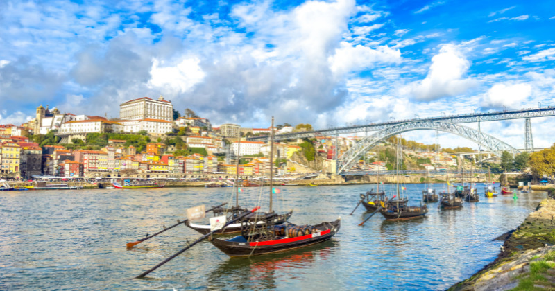 The best time to visit vineyards in Porto is winter