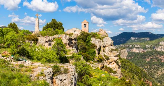 Priorat wine tour view