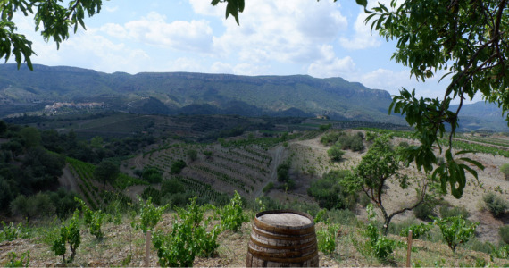 Priorat private wine tasting tour, credit Spanish Trails Priorat private wine tasting tour, credit Spanish Trails