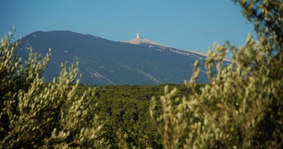Mont Ventoux, Provence