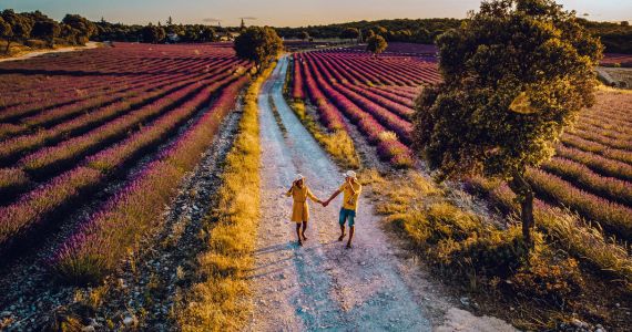 Couple in lavender fields in Provence