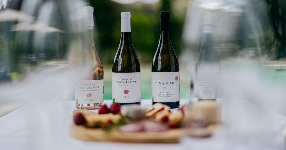 Exclusive Vinho Verde Wine Tasting, Quinta de Santa Teresa wines and picnic, credit Quinta de Santa Teresa A&D Wines