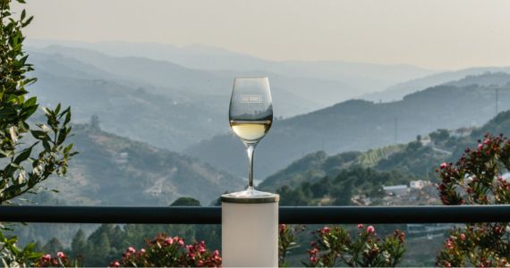 Vinho Verde wines, wine, credit Quinta de Santa Teresa AD Wines