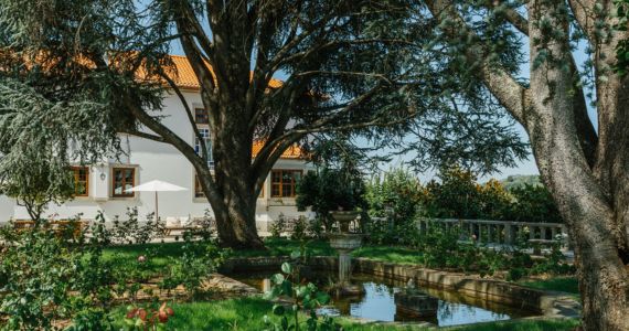 Travel to Vinho Verde, credit Quinta de Santa Teresa AD Wines