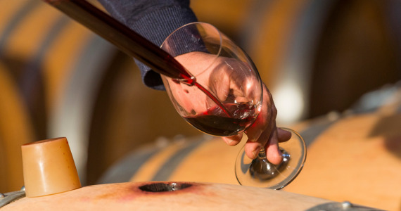 Red wine in Penedes, Priorat, Barcelona wine tasting tour credit Global Image Projects SLU