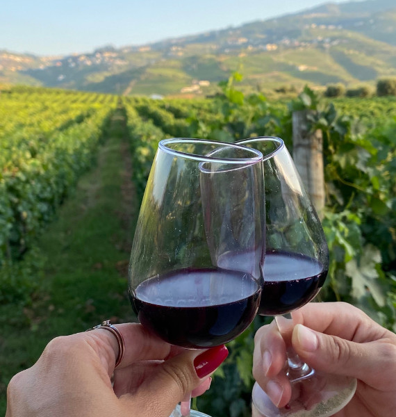 Red wine in the Douro Valley Red wine in the Douro Valley