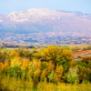 Rioja landscapes in autumn