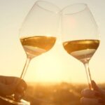 Rose wine in Provence