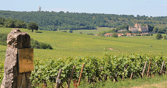 France driving holiday | Rully-chateau-vignes-juin-2016