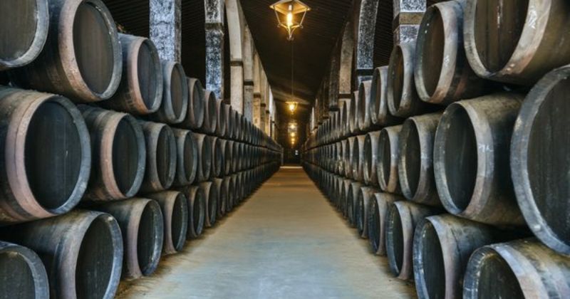 Sherry Triangle Tour, credit Jeres-Xeres-Sherry Regulatory Council