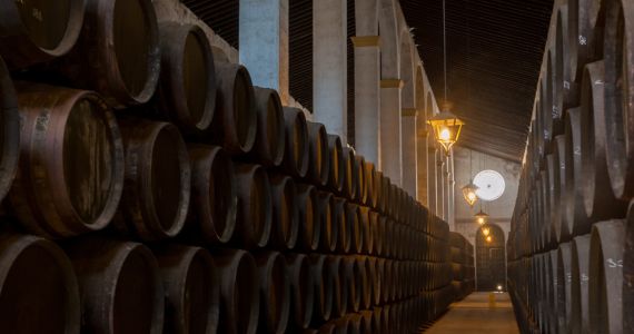 Sherry wines, bodega tour