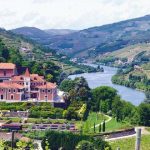 Douro Wine Tour