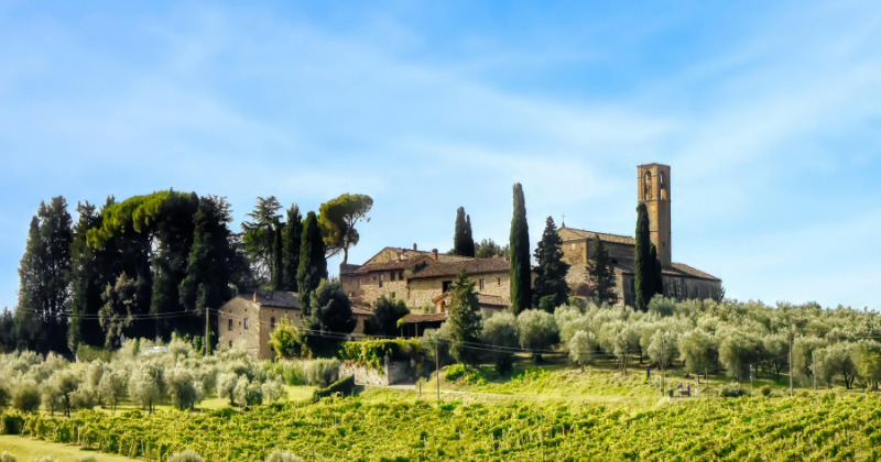Tuscan vineyard glistening in the spring sun