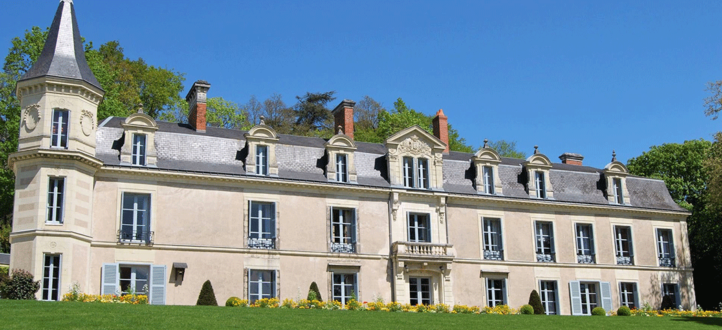 Chateau De Raguerniere