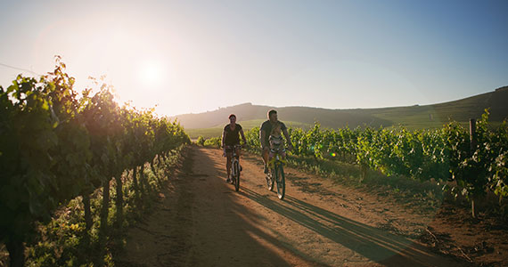 Ribera del Duero wine tour -Bicycle-Routes-Credits-Castilla-Termal