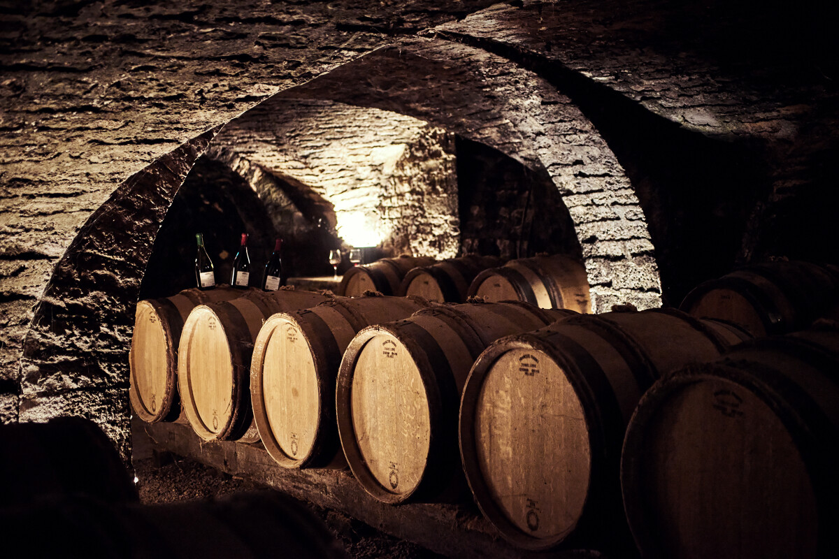 The best Burgundy wineries