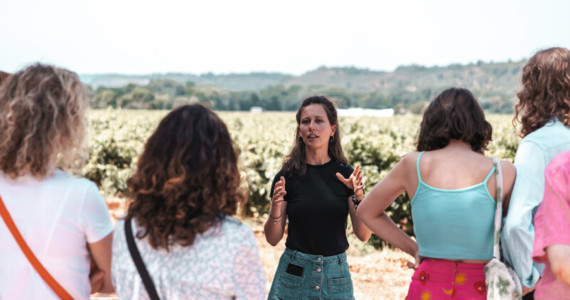 Culinary trips to France, Terre de Mistral near Aix-en-Provence, winery tour, credit La Buvette Lyonnaise