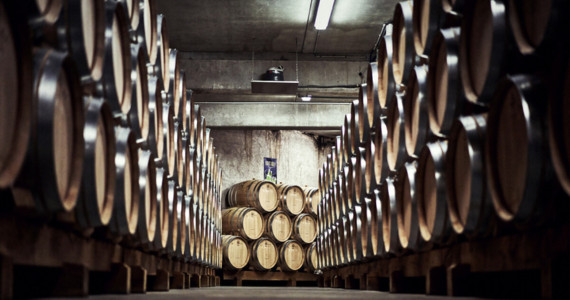 Culinary trips to France, Vignerons des Terres Secretes, cellars in Beaujolais, credit Cherrystone