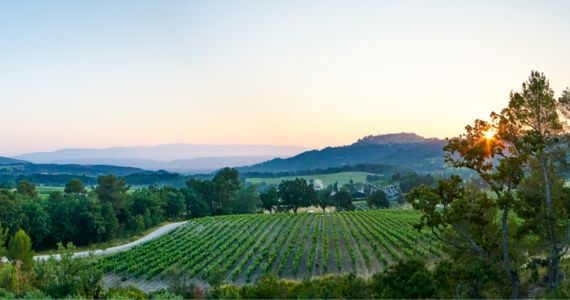 Chateau La Coste, sunset view, credit Richard Haughton