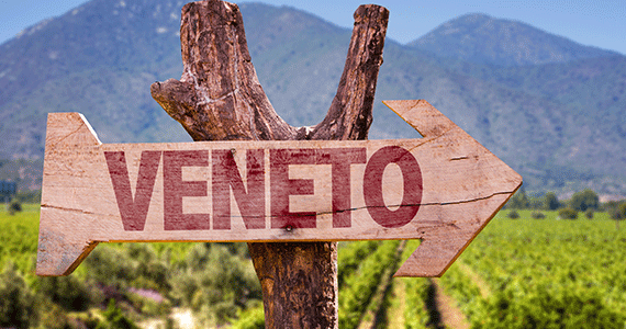 Verona wine tour Veneto-sign
