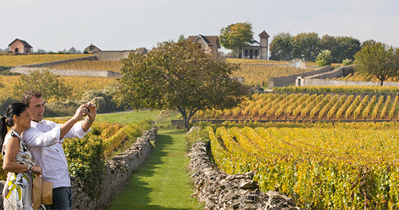 Ultimate French wine tour- Vignoble-Meursault-©-Muzard