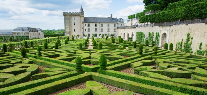 Villandry Castle Loire Valley Tour