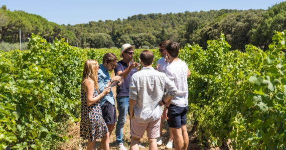 Marseille Wine Tour, credit Provence Reservation A la Francaise Provence