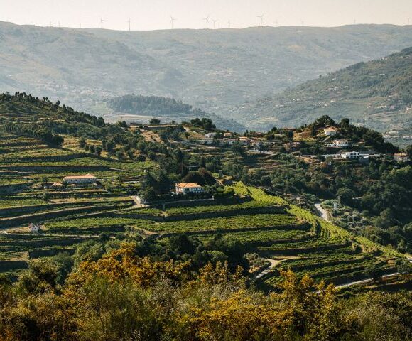 Vinho Verde Portugal Wine Tour, Vinho Verde landscape, credit ADWines QuintaStaTeresa and Comissão de Viticultura da Região dos Vinhos Verdes