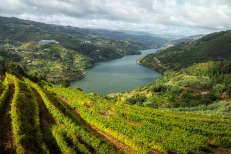 Exclusive Vinho Verde Wine Tasting, vineyard views, credit Comissão de Viticultura da Região dos Vinhos Verde