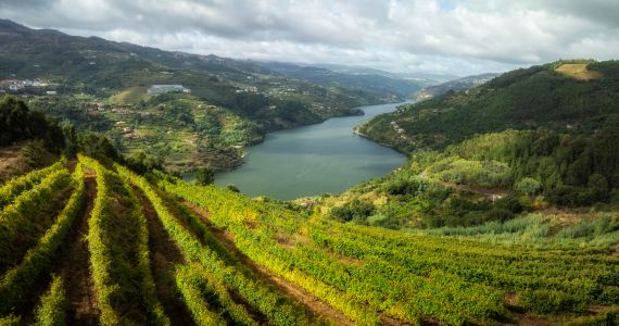 Vinho Verde Portugal, landscape vineyard views, credit Comissão de Viticultura da Região dos Vinhos Verdes