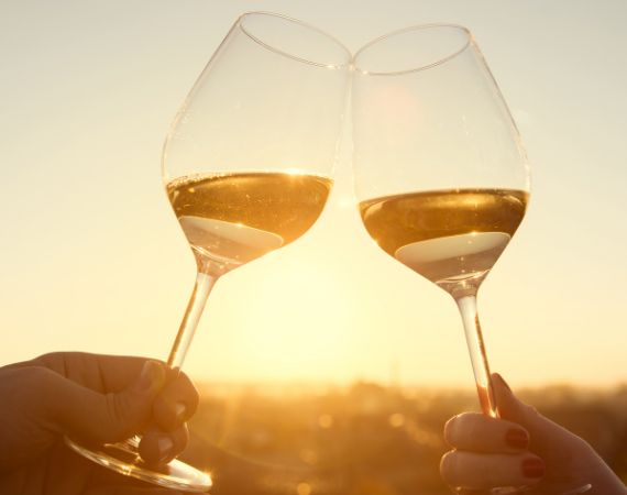Wine tasting in Provence