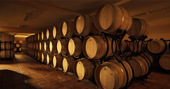 Dalmatia wine tasting - Winery_Korta_Katarina_Peljesac_pelinsula_Orebic_town-(1)