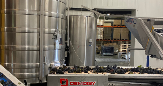 Les Sources de Cheverny trip, winemaking process, Loire Valley