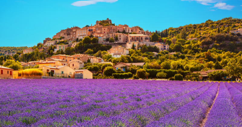 Aix-en-Provence is famous for its vibrant lavender fields