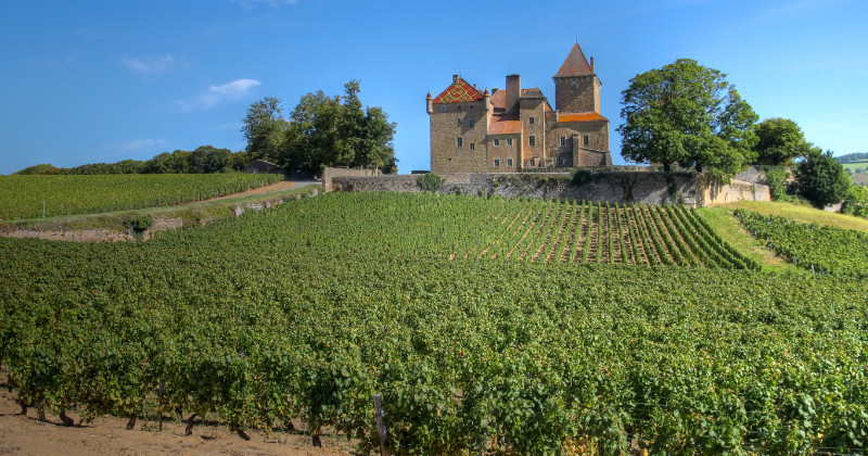 Explore rolling fields through Burgundy's cheese tours