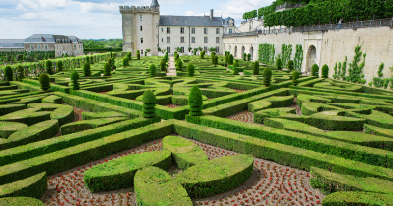 Loire Valley is home to many fairytale-like chateaux