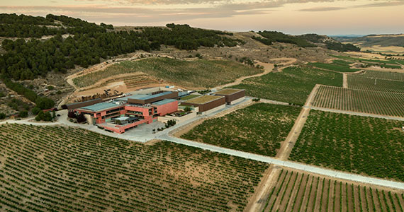 Ribera del Duero wine tour-Credits-Pago-de-Carraovejas
