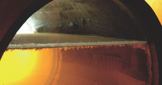 Sherry wines, flor, credit Jerez-Xeres-Sherry Regulatory Council