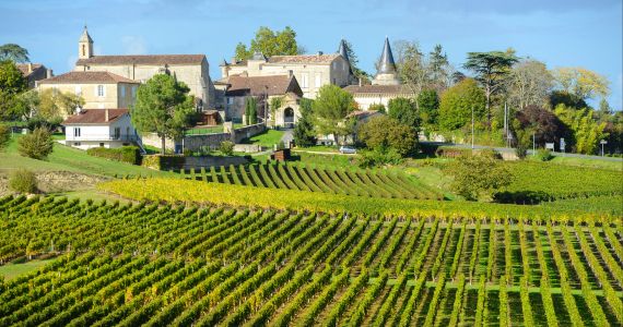 Vineyards of St Emilion, Bordeaux